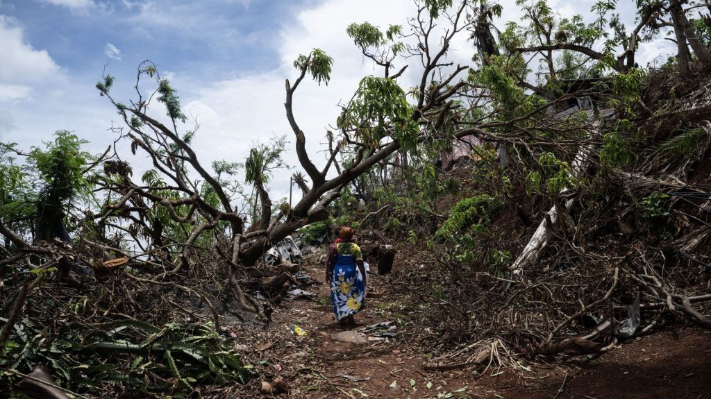 •
Direct
Cyclone Dikeledi à Mayotte : "L'alerte rouge va être déclenchée ce soir", annonce le ministre des Outre-Mer, Manuel Valls
"Une importante dégradation pluvieuse et venteuse" est prévue ce samedi soir au moment du passage de Dikeledi près de l'archipel, selon Météo-France.