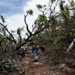 •
Direct
Cyclone Dikeledi à Mayotte : "L'alerte rouge va être déclenchée ce soir", annonce le ministre des Outre-Mer, Manuel Valls
"Une importante dégradation pluvieuse et venteuse" est prévue ce samedi soir au moment du passage de Dikeledi près de l'archipel, selon Météo-France.