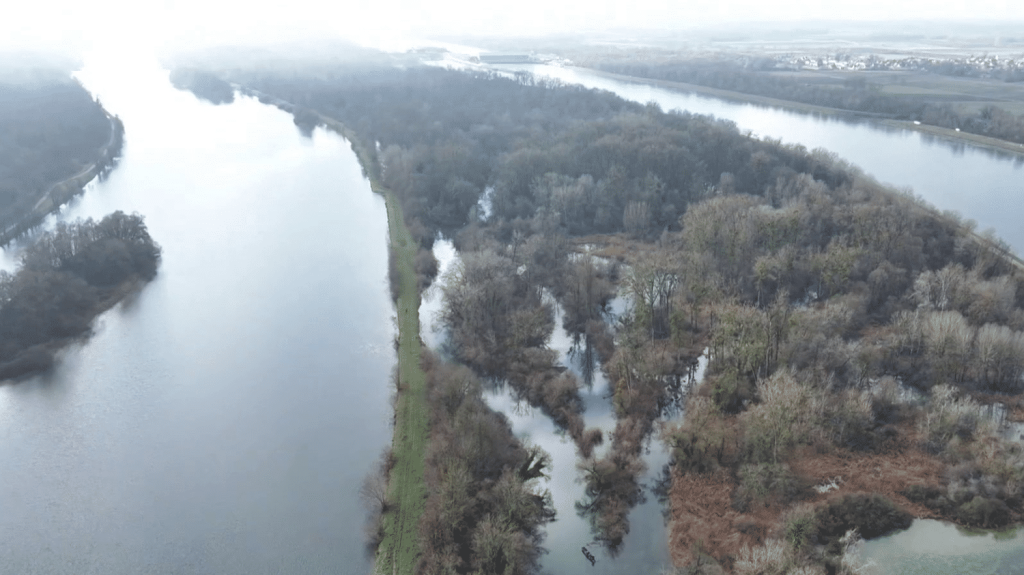 Alsace : les secrets du paradis aquatique du Grand Ried
Ce mardi 21 janvier, le “13 Heures” vous emmène à la découverte du réservoir naturel du Grand Ried, un royaume enchanteur situé entre Strasbourg et Colmar. C’est aussi le pays de la matelote, un très vieux plat alsacien typique.