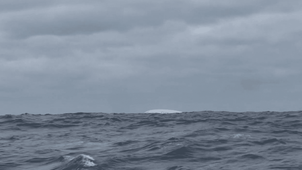 Un iceberg sur la route du Vendée Globe
Premières frayeurs pour les skippeurs du Vendée Globe, confrontés à un iceberg massif obligeant des déviations de trajectoire pour éviter le danger.