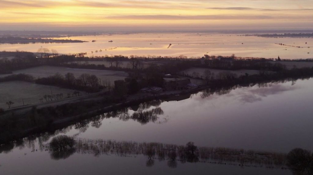 Manche : les marais blancs du Parc naturel du Cotentin reprennent vie
En ce début d'année, les précipitations automnales et hivernales ont formé des marais blancs dans les champs du Cotentin. Une terre idéale pour les oiseaux migrateurs qui viennent s'y réfugier.