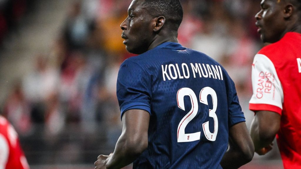 Football : l'attaquant du PSG Randal Kolo Muani prêté six mois à la Juventus Turin
D’autres clubs étaient intéressés par le Bondynois, mais l'international français a finalement choisi le club italien.